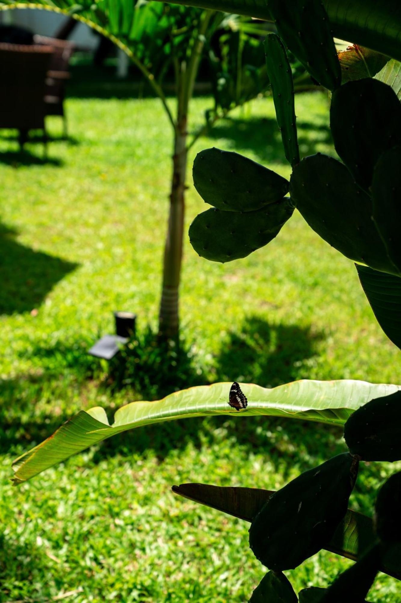 Koh Samui Resort & Restaurant Taling Ngam Beach Zewnętrze zdjęcie